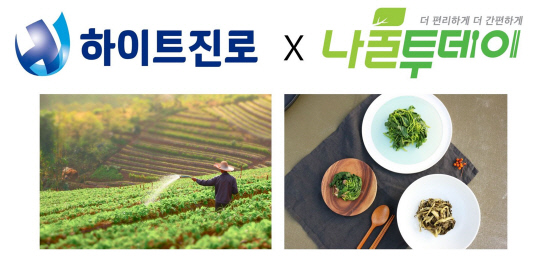 하이트진로의 나물투데이 후속투자 홍보 이미지. 하이트진로 제공